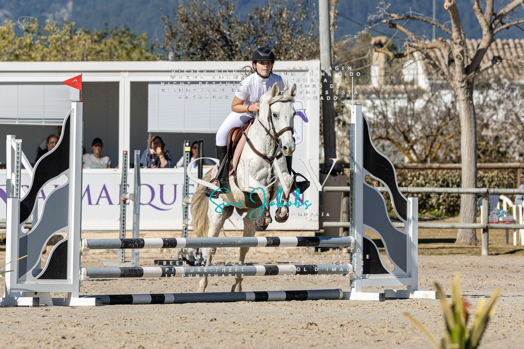 IMG_8592 | s-jay-photography - Realisiert mit Pictrs.com