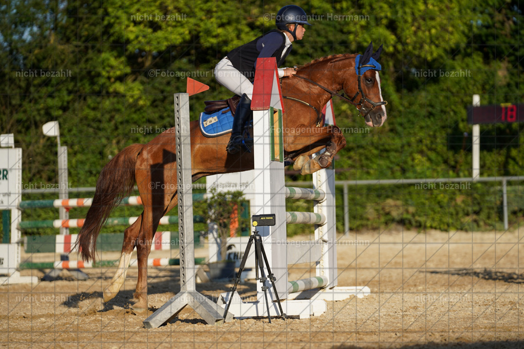 20240824-FAH08843 | Thierhaupten 2024, Bayerisches Landesponyturnier, Turnierbilder, Ponybilder, Turnierfotografen Bayern, Fotoagentur Herrmann