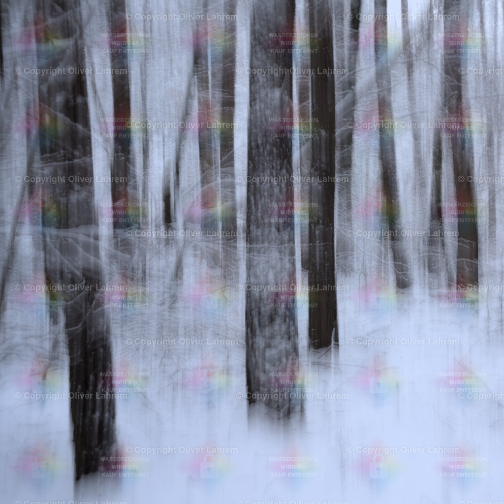 Abstrakter Heimatwald | Blick in den winterlichen Wald von Klein Welzheim / Seligenstadt.Die Bilder wurden mit einer Fotografische Technik aufgenommen und haben dadurch ein spezielle Ästhetik.