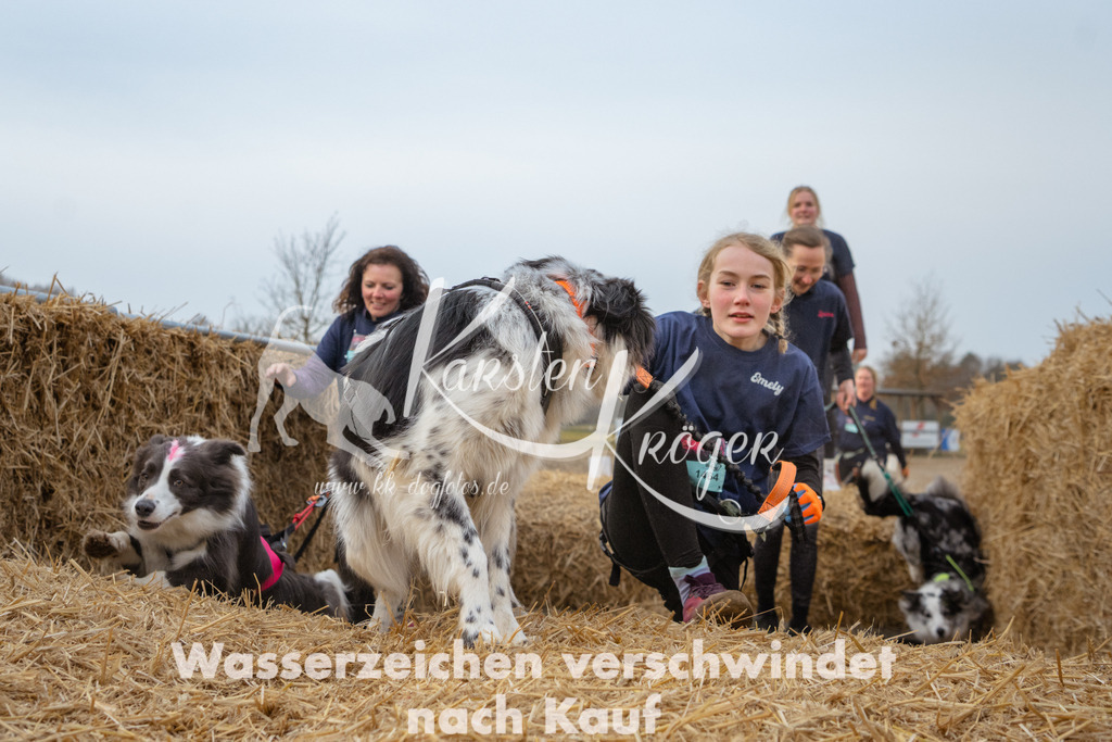 0846_ZZ94650 | kk-dogfotos