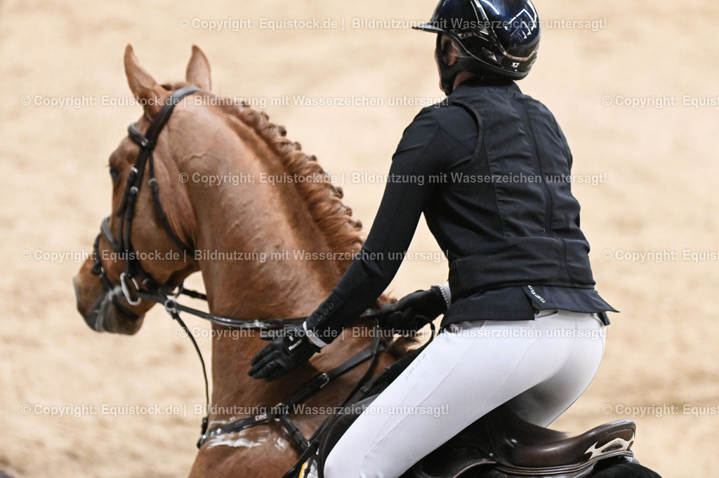 20260307_Hengstvorstellung-Marbach_0178 | equistock