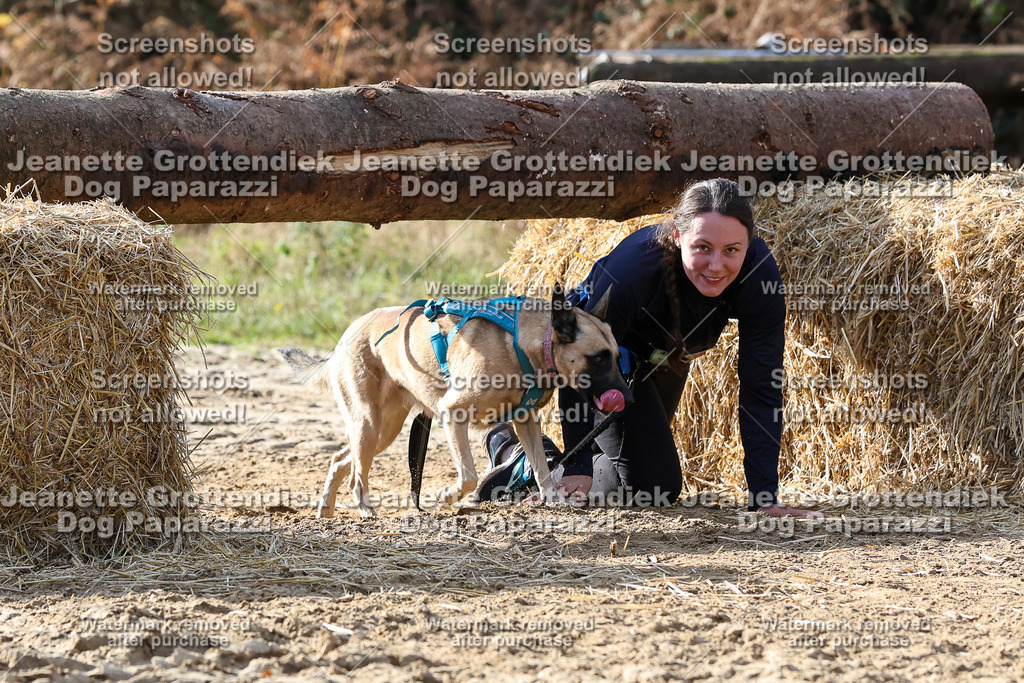Dog Paparazzi - Strongdog 10-25-5854 | Dog Paparazzi Jeanette Grottendiek Fotografie & Videografie - Realisiert mit Pictrs.com