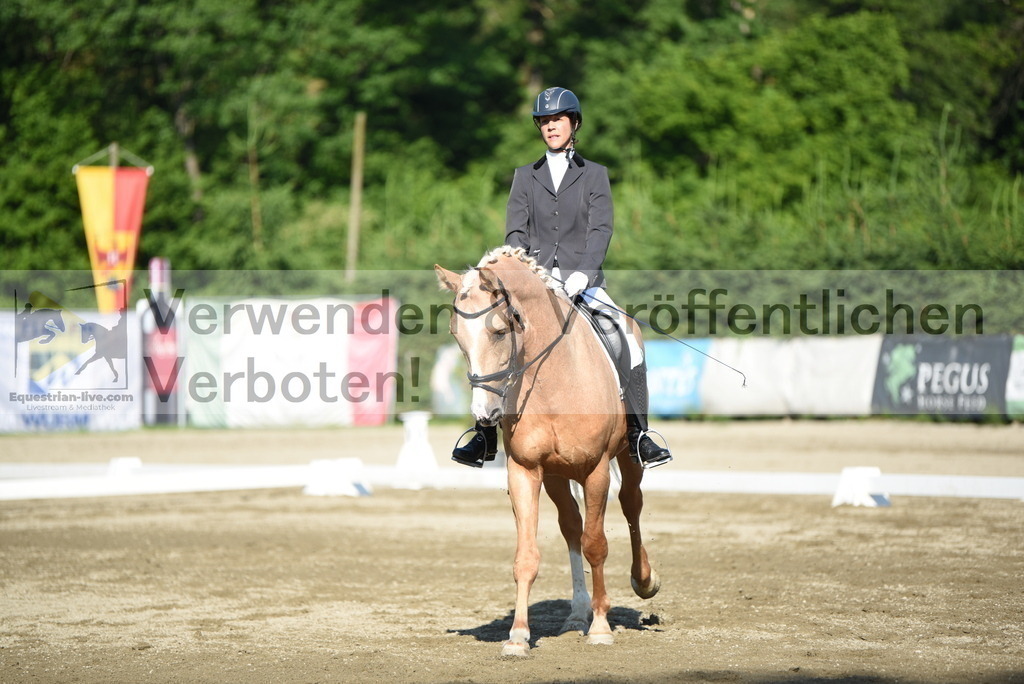 DSC_7002 | equestrian-live-com