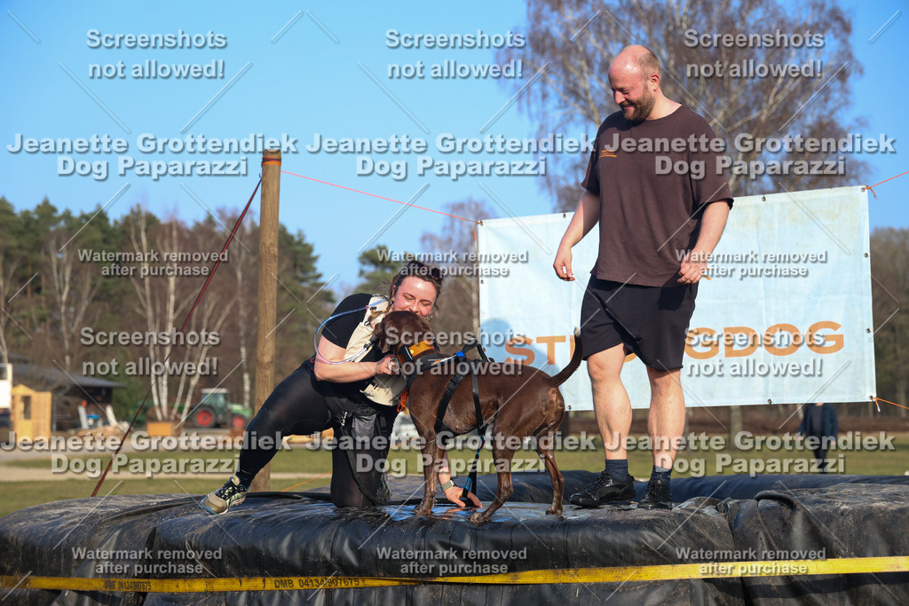 Dog Paparazzi - Strongdog North Mrz26-3607 | Dog Paparazzi Jeanette Grottendiek Fotografie & Videografie - Realisiert mit Pictrs.com