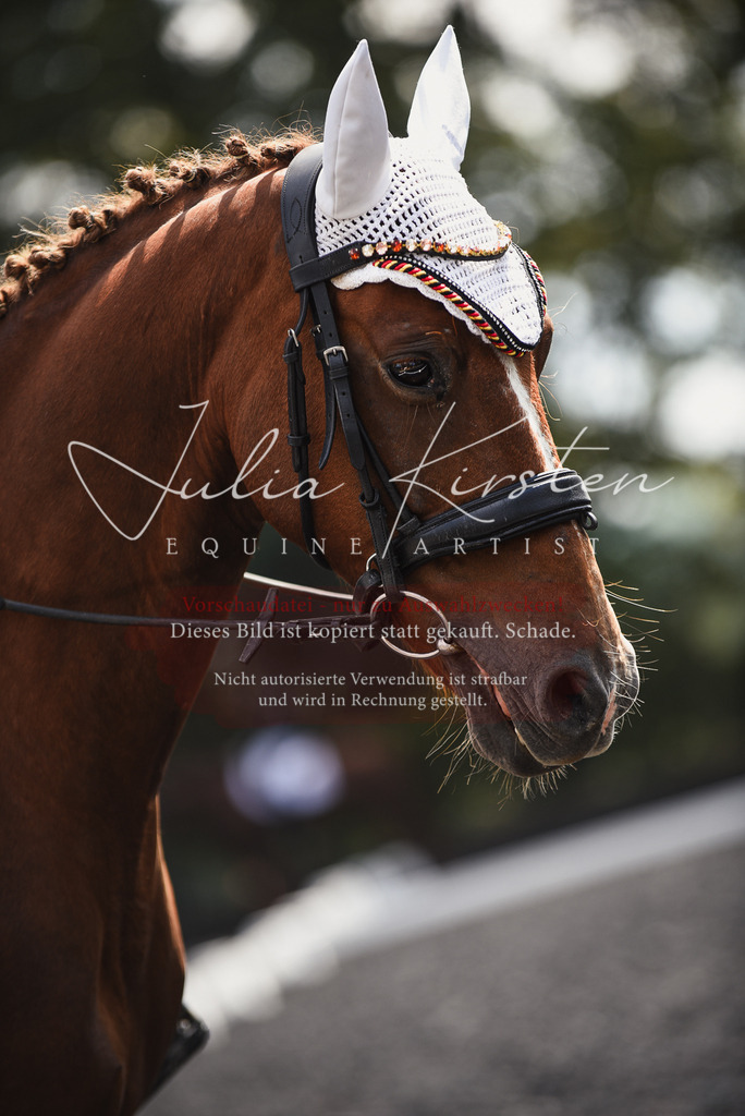 DSC_4221 | Pferde- und Turnierfotografie in Westsachsen. Pferdeportraits, Auftragszeichnungen und intuitive Kunst.