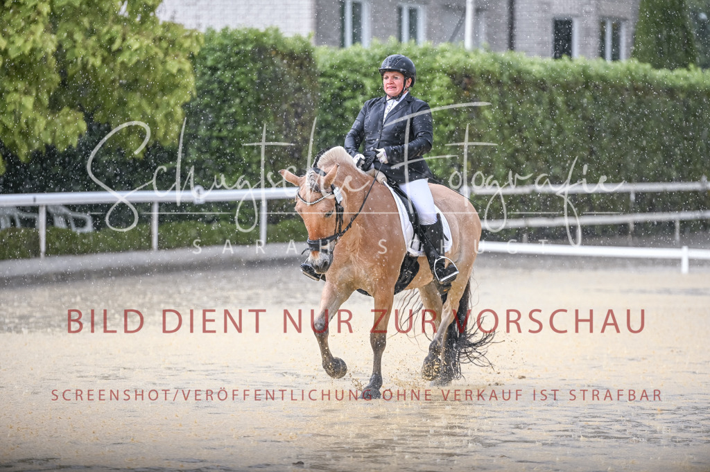 Schugtsche-Aluta25-54.Dressurprf.L1Trense-98 | Schugtsche Fotografie - Realisiert mit Pictrs.com