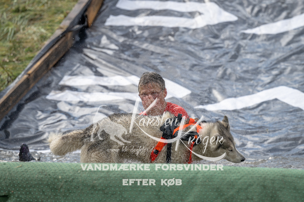 1112_ZZ92869 | kk-dogfotos