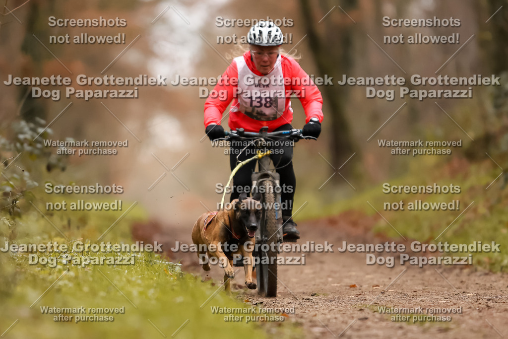 Dog Paparazzi - Speedhunter Mannheim  2025-388 | Dog Paparazzi Jeanette Grottendiek Fotografie & Videografie