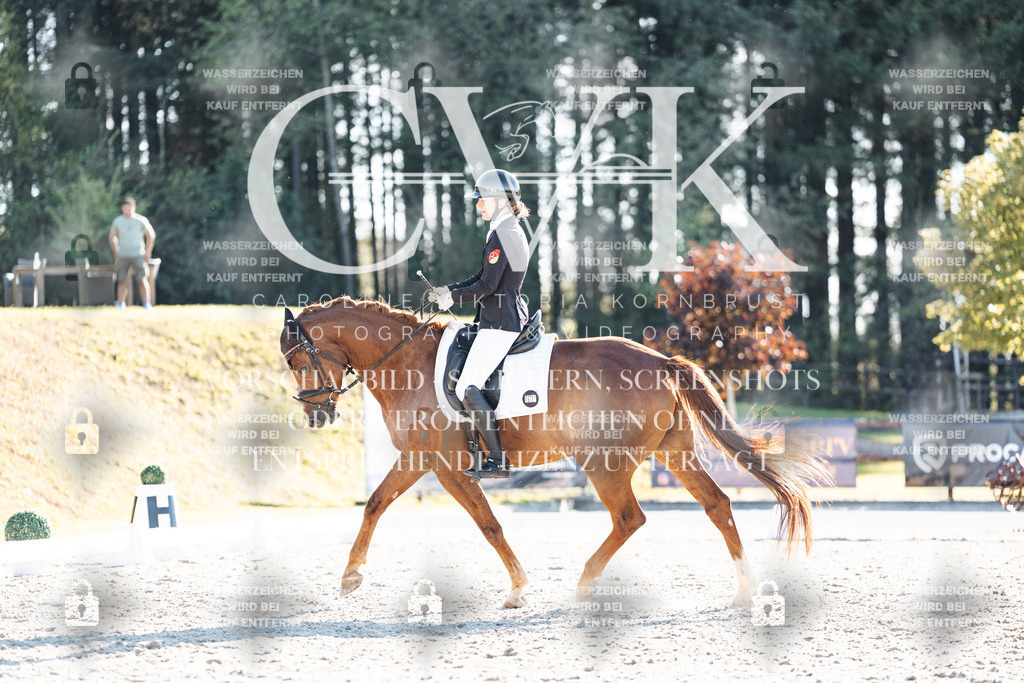 CK906655 | Turnierfotografie Pferdefotografie Trier Rheinland-Pfalz Pferdesport Reitsport Tierfotografie Sportfotografie Pferdevideo Pferdevideografie Equestrianvideography equestrianphotography  - Realisiert mit Pictrs.com