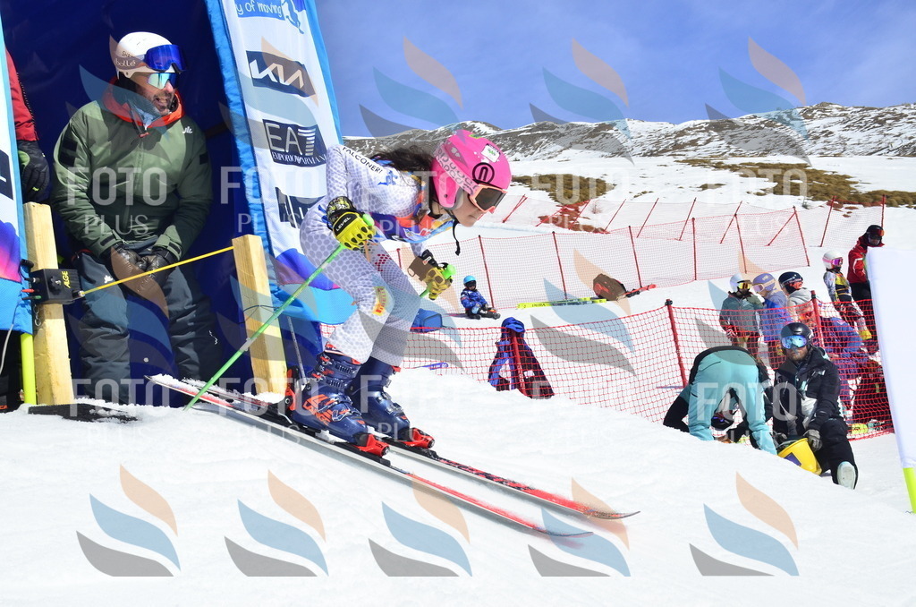 _ELE0841 | holidayphoto