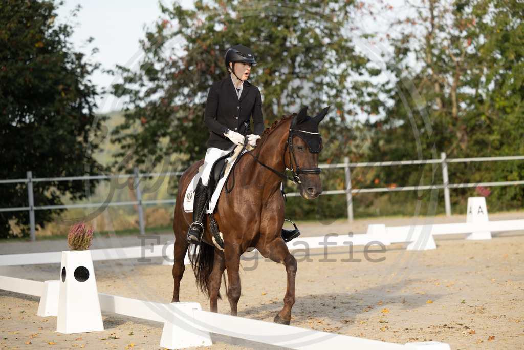 994A0586 | sabrinanicolaifotografie - Realisiert mit Pictrs.com