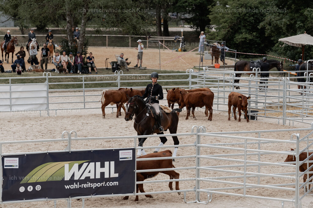 WE__Stoib_Rinder_PI2025_3164 | Pferd International München 2025