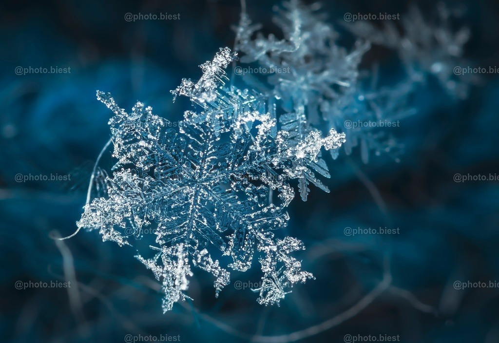 Schneeflocke #12 | Eine (von vielen) filigranen Schneeflocken in meinem ersten Makro-Schneeflocken-Winter. - Realisiert mit Pictrs.com