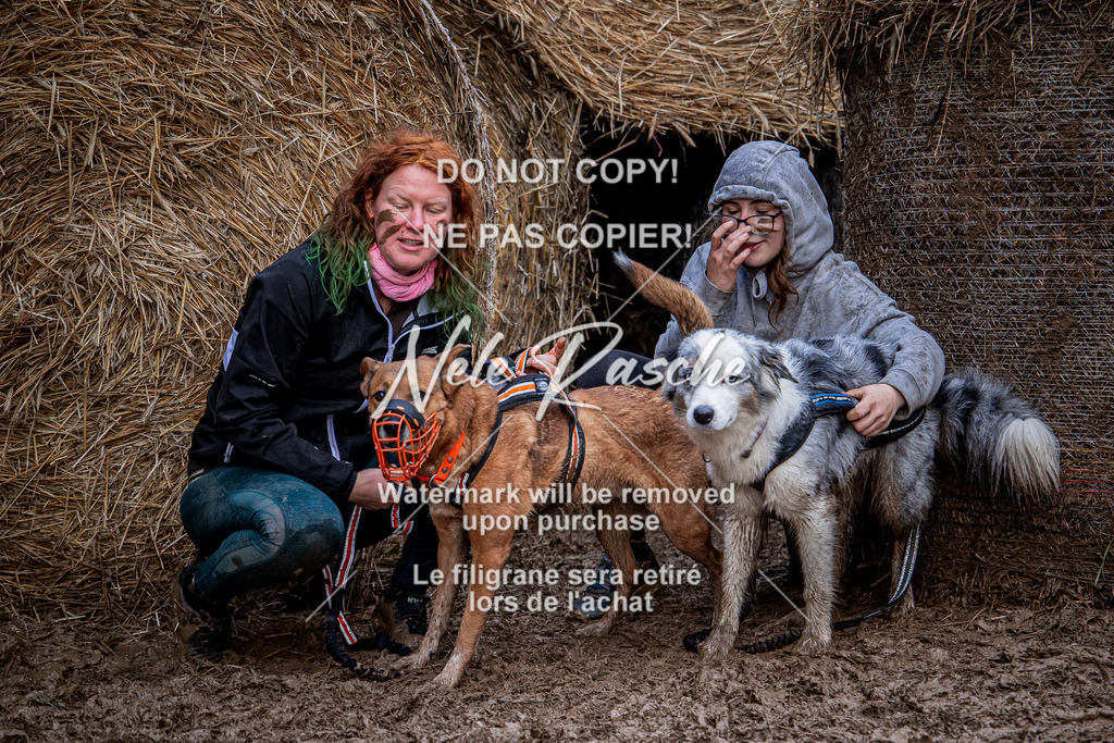nelerasche_Hunsrück_So09-11_310 | nelerasche