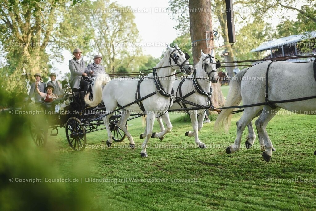 20230526_Pferdenacht_0142 | equistock