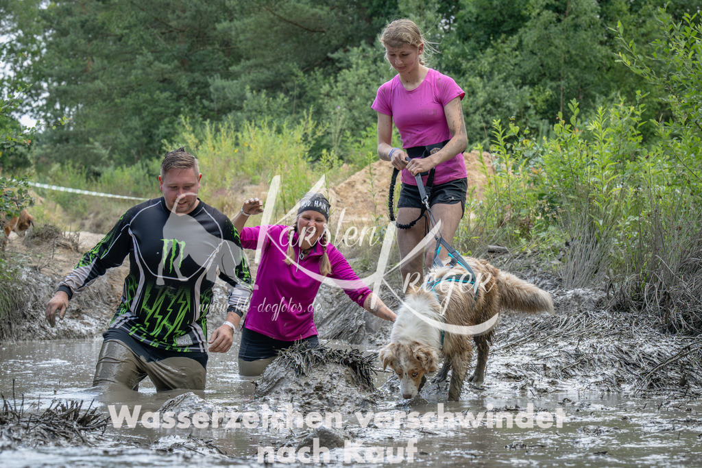 1546_ZZ91042-Verbessert-RR | kk-dogfotos