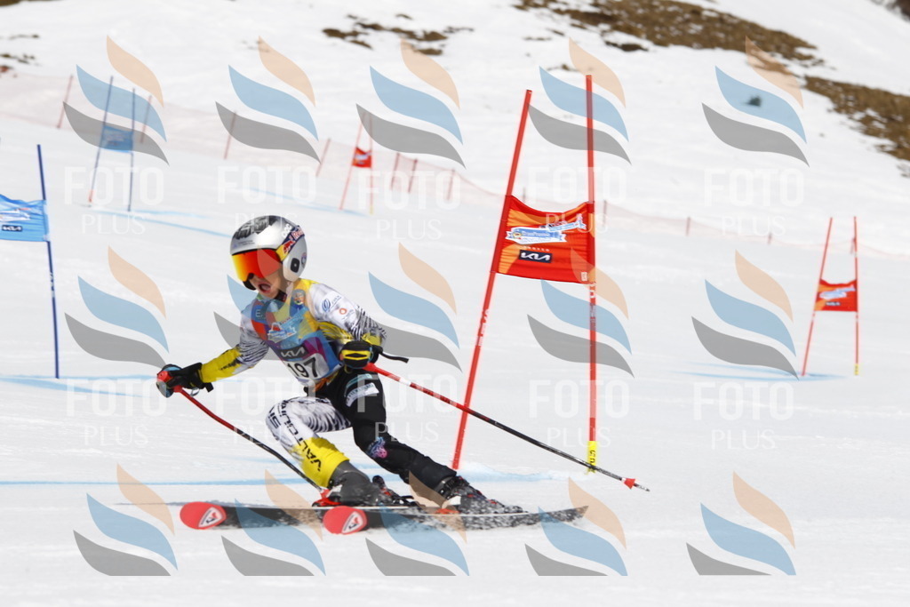 _U3G5142 | holidayphoto