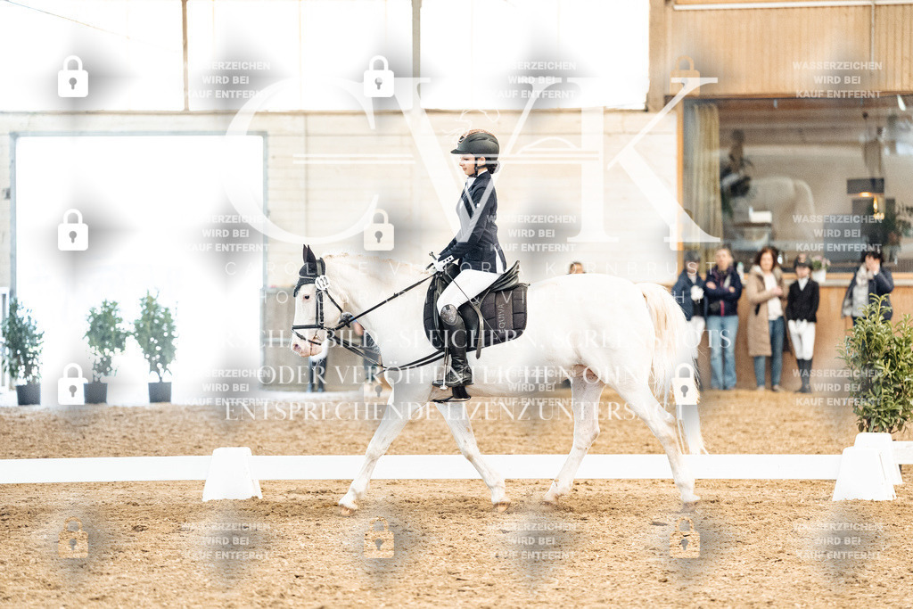 CK909963 | Turnierfotografie Pferdefotografie Trier Rheinland-Pfalz Pferdesport Reitsport Tierfotografie Sportfotografie Pferdevideo Pferdevideografie Equestrianvideography equestrianphotography  - Realized with Pictrs.com