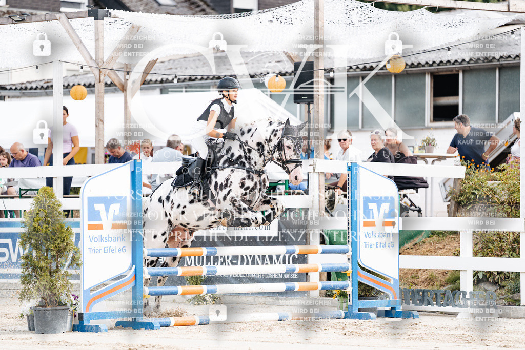 CK908942 | Turnierfotografie Pferdefotografie Trier Rheinland-Pfalz Pferdesport Reitsport Tierfotografie Sportfotografie Pferdevideo Pferdevideografie Equestrianvideography equestrianphotography  - Realisiert mit Pictrs.com