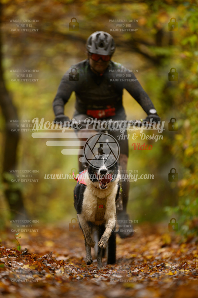 MompixPhotography_CD7S_DI_Bike-82 | mompixphotography
