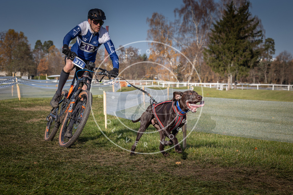 CaniXpix_0L8A7331 | Hundefotografie, Tierfotograf, Pfotenfotografie, Fotoshooting Hund, Hunde Portrait, Hundesport, Hundeportraits, Heideshooting, Hunde, Sportfotograf, Hundefotograf, Turnierhundsport, THS,  - Realisiert mit Pictrs.com