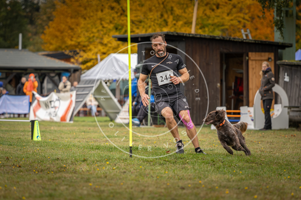 Pfotenfotografie_DV3A5095 | Hundefotografie, Tierfotograf, Pfotenfotografie, Fotoshooting Hund, Hunde Portrait, Hundesport, Hundeportraits, Heideshooting, Hunde, Sportfotograf, Hundefotograf, Turnierhundsport, THS,  - Realisiert mit Pictrs.com