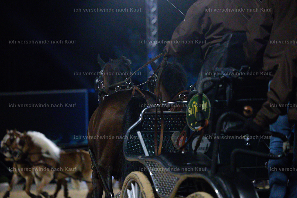 FHClassics-281 | working equitationturnier fotograf videograf stoibphotography marixx film working equitation deutschland reitsport turnierfotografie eventfotografie equestrian events