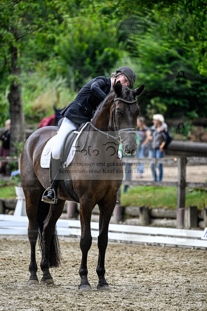 Bissendorfer Reitertage | Entdecke hochwertige Reitturnierfotos von Foto Oger. Professionell, emotional und authentisch – jetzt Lieblingsmomente im Shop bestellen. - Realisiert mit Pictrs.com