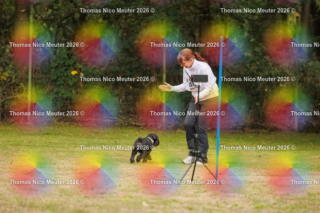Thomas_Nico_Meuter(C)_23. August 2026_223A9723 | Bild von Thomas Nico Meuter - Realisiert mit Pictrs.com