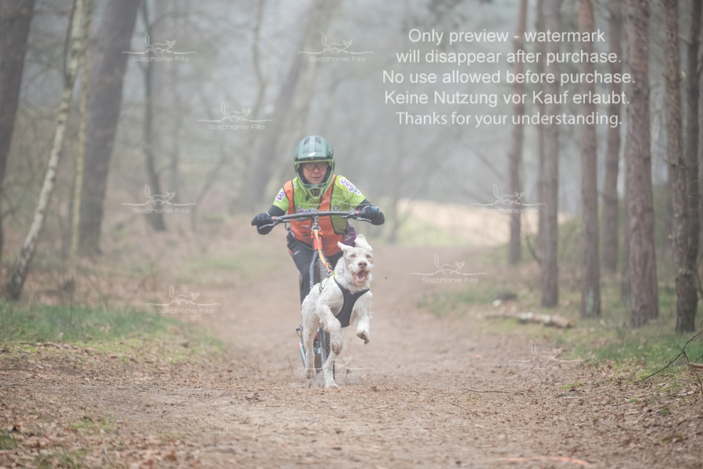 Scooter1-155 | stephaniefillaphotographie - Realisiert mit Pictrs.com