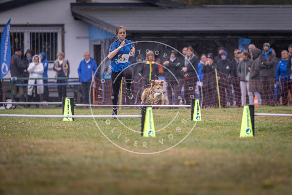 Pfotenfotografie_DV3A9699 | Hundefotografie, Tierfotograf, Pfotenfotografie, Fotoshooting Hund, Hunde Portrait, Hundesport, Hundeportraits, Heideshooting, Hunde, Sportfotograf, Hundefotograf, Turnierhundsport, THS,  - Realisiert mit Pictrs.com