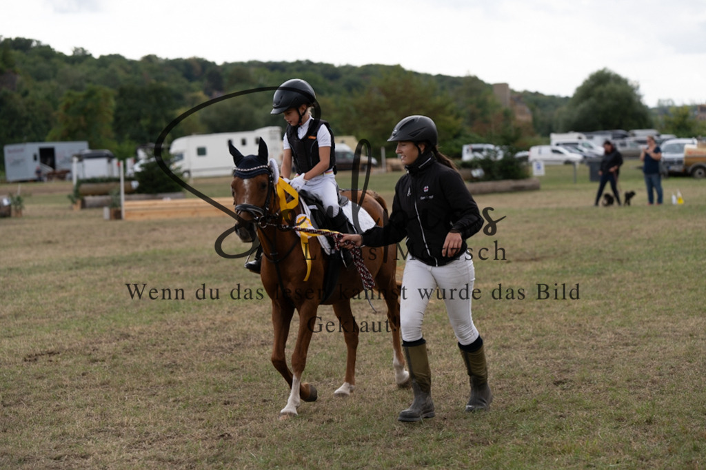 A7V01378 | Pferdefotograf