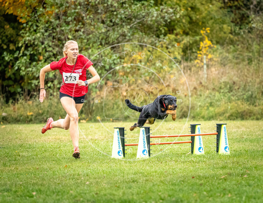 Pfotenfotografie_DV3A0923 | Hundefotografie, Tierfotograf, Pfotenfotografie, Fotoshooting Hund, Hunde Portrait, Hundesport, Hundeportraits, Heideshooting, Hunde, Sportfotograf, Hundefotograf, Turnierhundsport, THS,  - Realisiert mit Pictrs.com