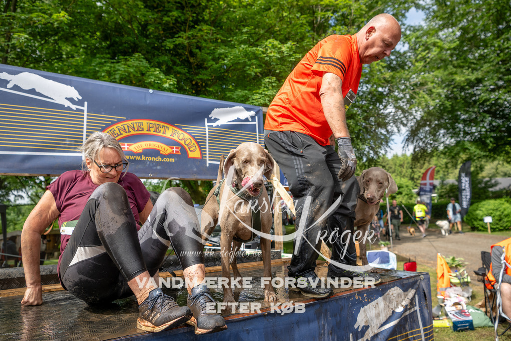 1031_ZZ91095 | kk-dogfotos