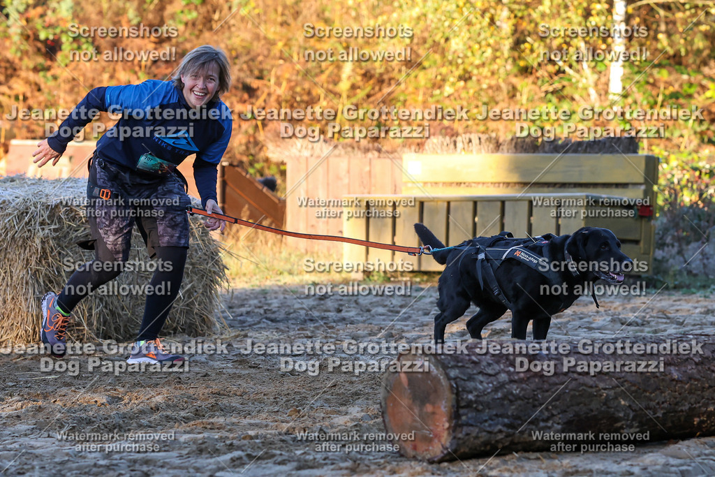 Dog Paparazzi - Strongdog 10-25-606 | Dog Paparazzi Jeanette Grottendiek Fotografie & Videografie - Realisiert mit Pictrs.com