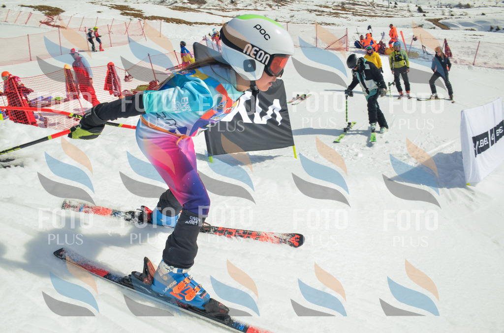 _ELE5129 | holidayphoto