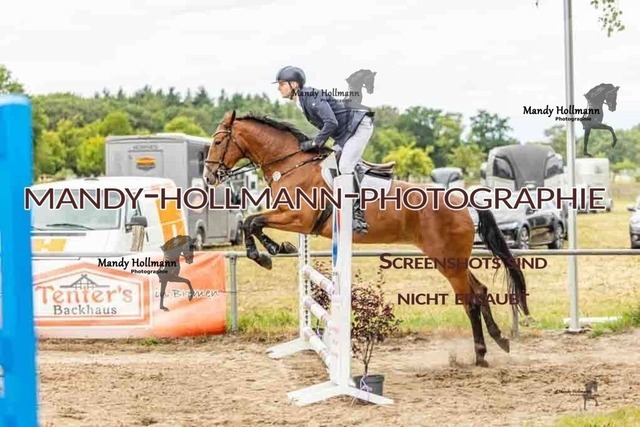 26-8-7 SPR A++-104 | mandyhollmannphotographie
