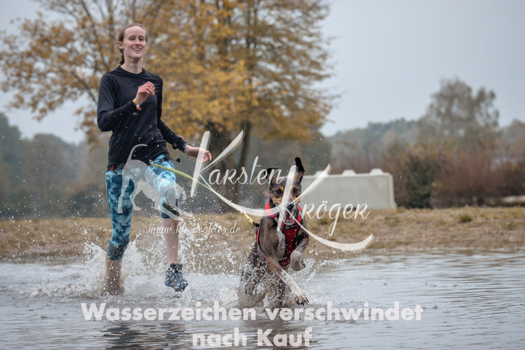 1050_ZZ91673 | kk-dogfotos