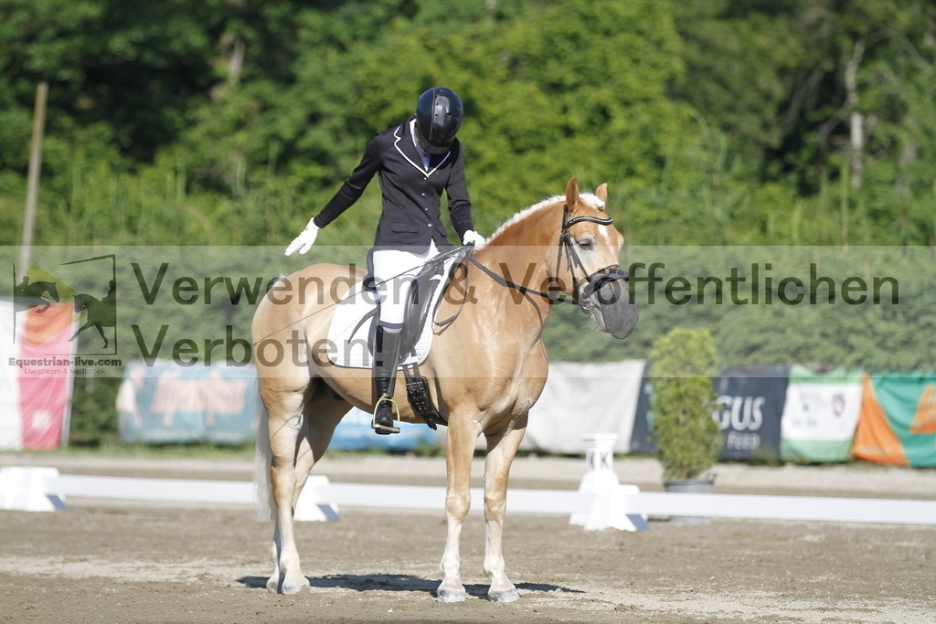_MG_0497 | equestrian-live-com