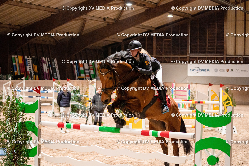 Springen Tag 1-875 | dv-media-shop - Realisiert mit Pictrs.com