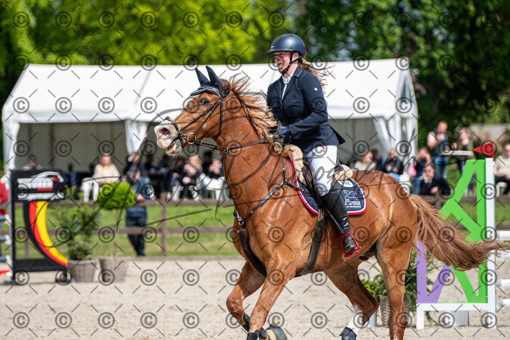 KPT_5806 | andre_photographic