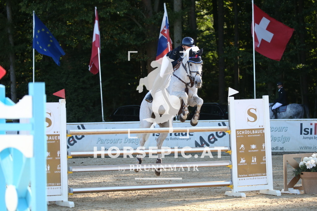 DL2Q3748 | Willkommen bei Brunnmayr - Design & Fotografie – Ihrem Spezialisten für Reitturniere und Pferdeveranstaltungen in Oberösterreich, Salzburg und Bayern! Seit über 17 Jahren sind wir leidenschaftlich dabei.