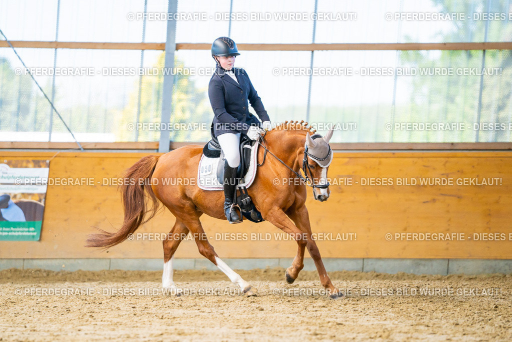 DSC07726 | Pferdegrafie