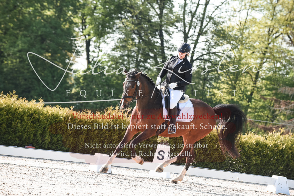 20230518_JK-Röhrsdorf-09-0718 | Pferde- und Turnierfotografie in Westsachsen. Pferdeportraits, Auftragszeichnungen und intuitive Kunst.