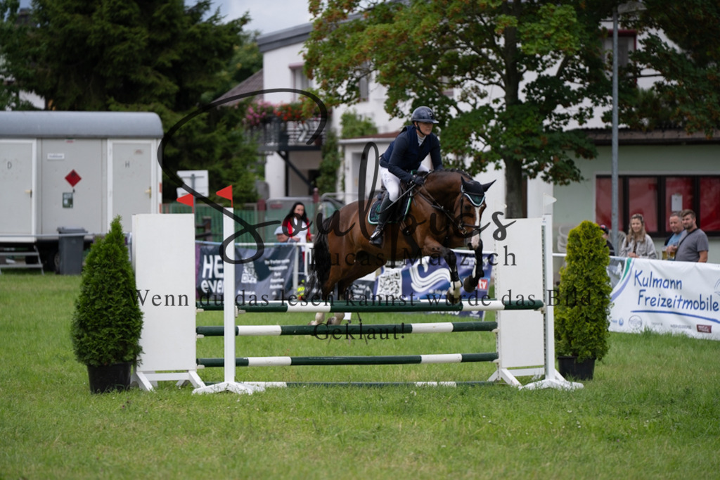 A7V03918 | Pferdefotograf