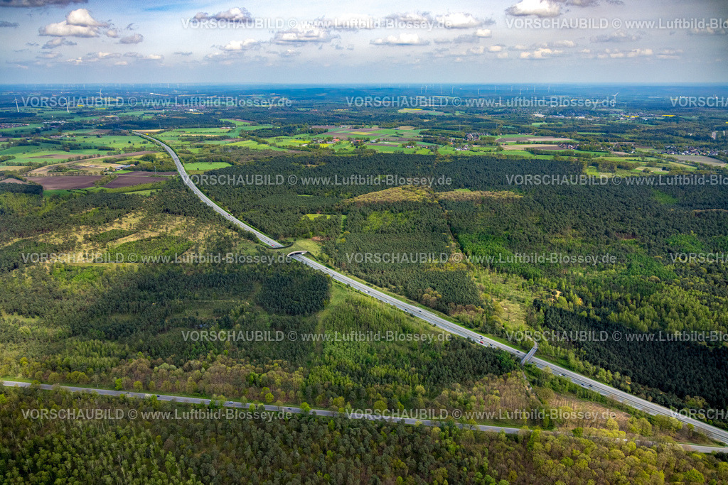 Schermbeck240402058UefterMark | Luftbild, Waldgebiet Üfter Mark, Autobahn A31 mit Grünbrücke bzw. Wildbrücke für gefahrlose Überquerung von Wildtieren, Wildwechsel, Altschermbeck, Schermbeck, Münsterland, Nordrhein-Westfalen, Deutschland