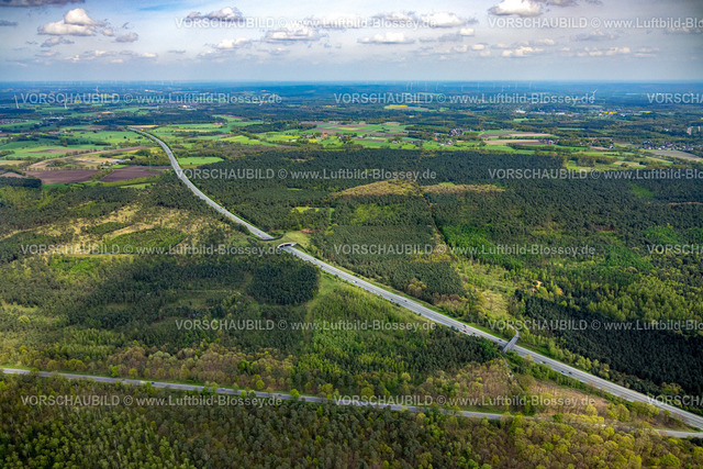 Schermbeck240402058UefterMark | Luftbild, Waldgebiet Üfter Mark, Autobahn A31 mit Grünbrücke bzw. Wildbrücke für gefahrlose Überquerung von Wildtieren, Wildwechsel, Altschermbeck, Schermbeck, Münsterland, Nordrhein-Westfalen, Deutschland