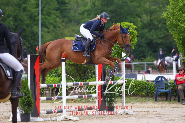 DKP41865 | Turniersportfotografie; Pferdefotografie; Dressurfotografie