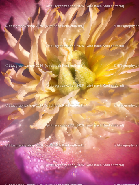 P1000099-b3a_pe | Fotokunstarbeit aus der INSTAGRAM-Gallerie auf titusgraphy.eu - Realisiert mit Pictrs.com