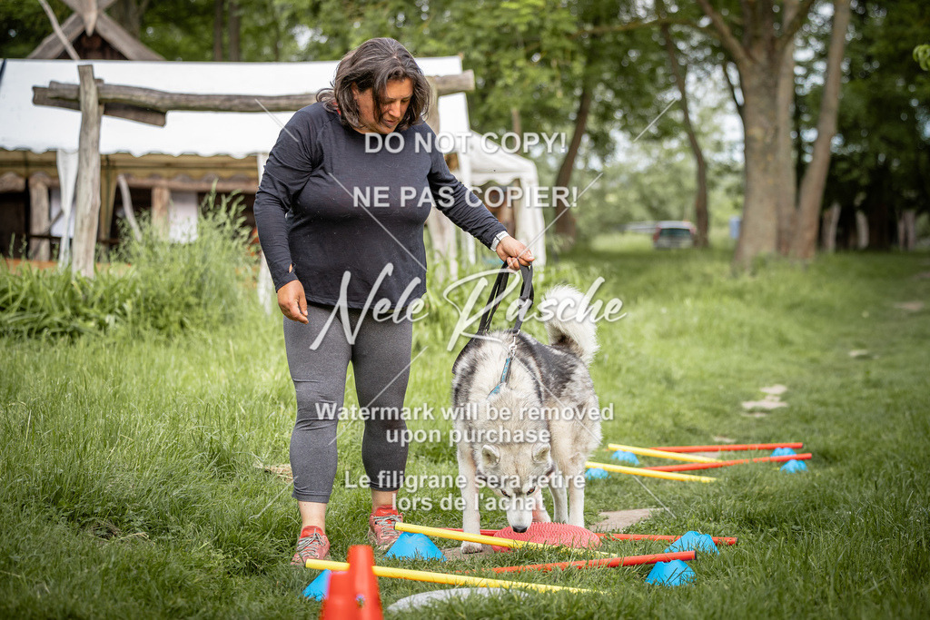 nelerasche_So-earlydog_28 | nelerasche